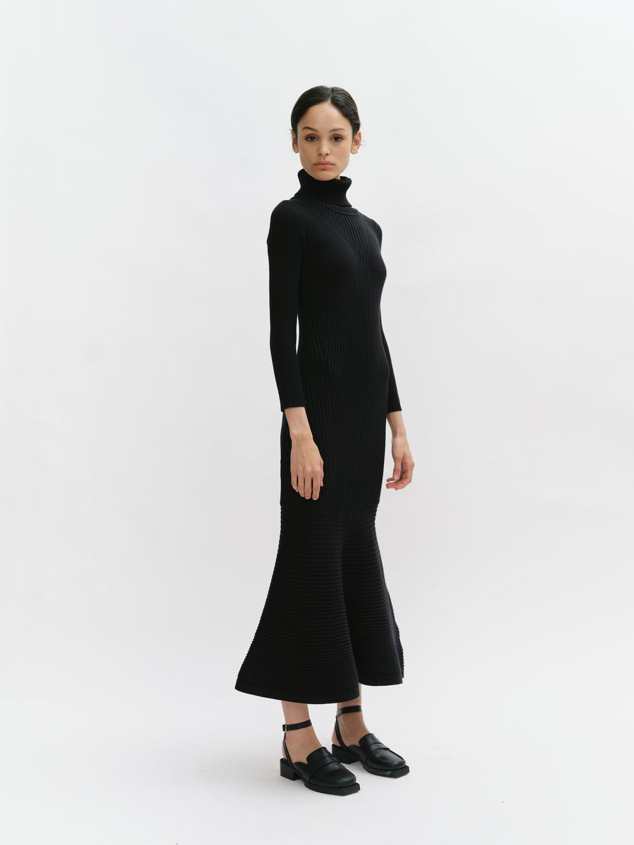 Long Turtleneck Body-Conscious Knit Dress